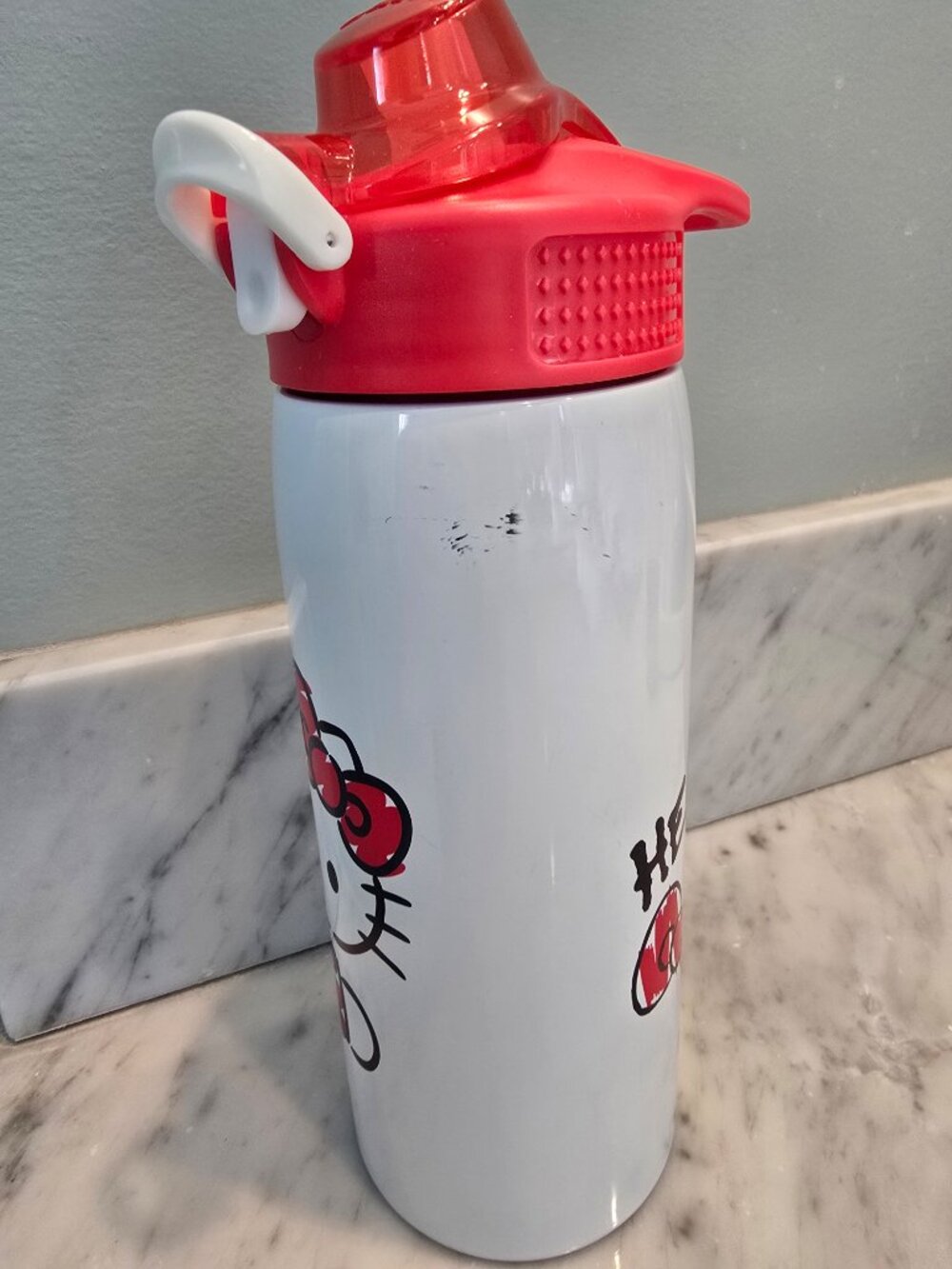 NWOT ZAK Hello Kitty Straw Stainless Steel Double Wall Vacuum 19 oz Bottle - Picture 5 of 6